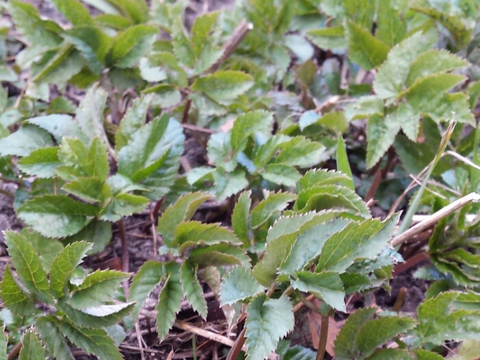 Feature Image